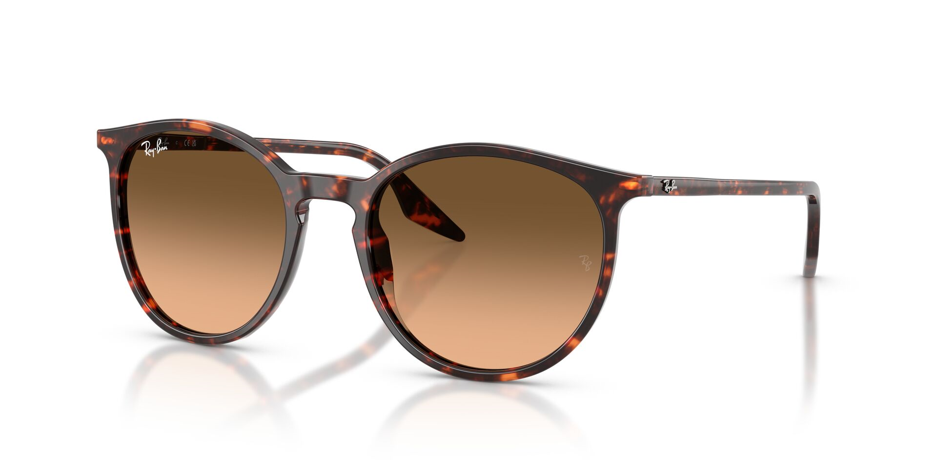 Ray-Ban 0RB 2204 1429/3B 54 Unisex