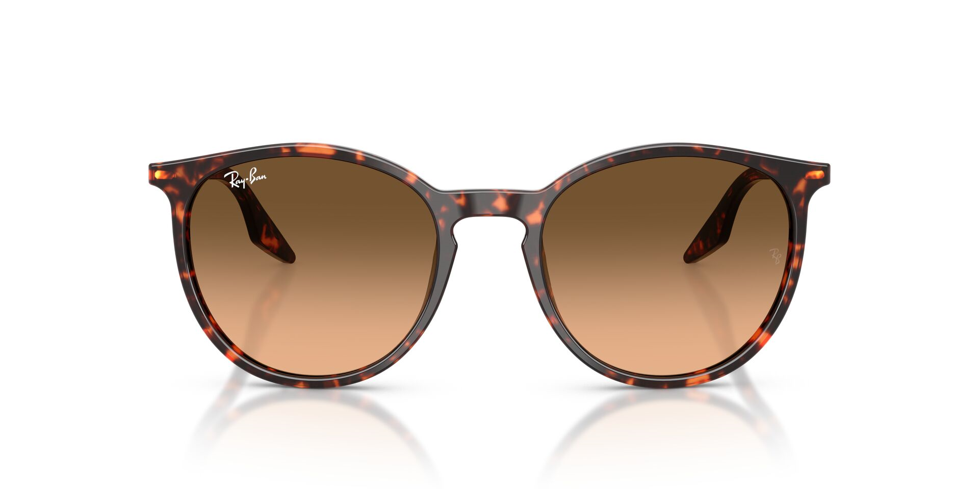 Ray-Ban 0RB 2204 1429/3B 54 Unisex