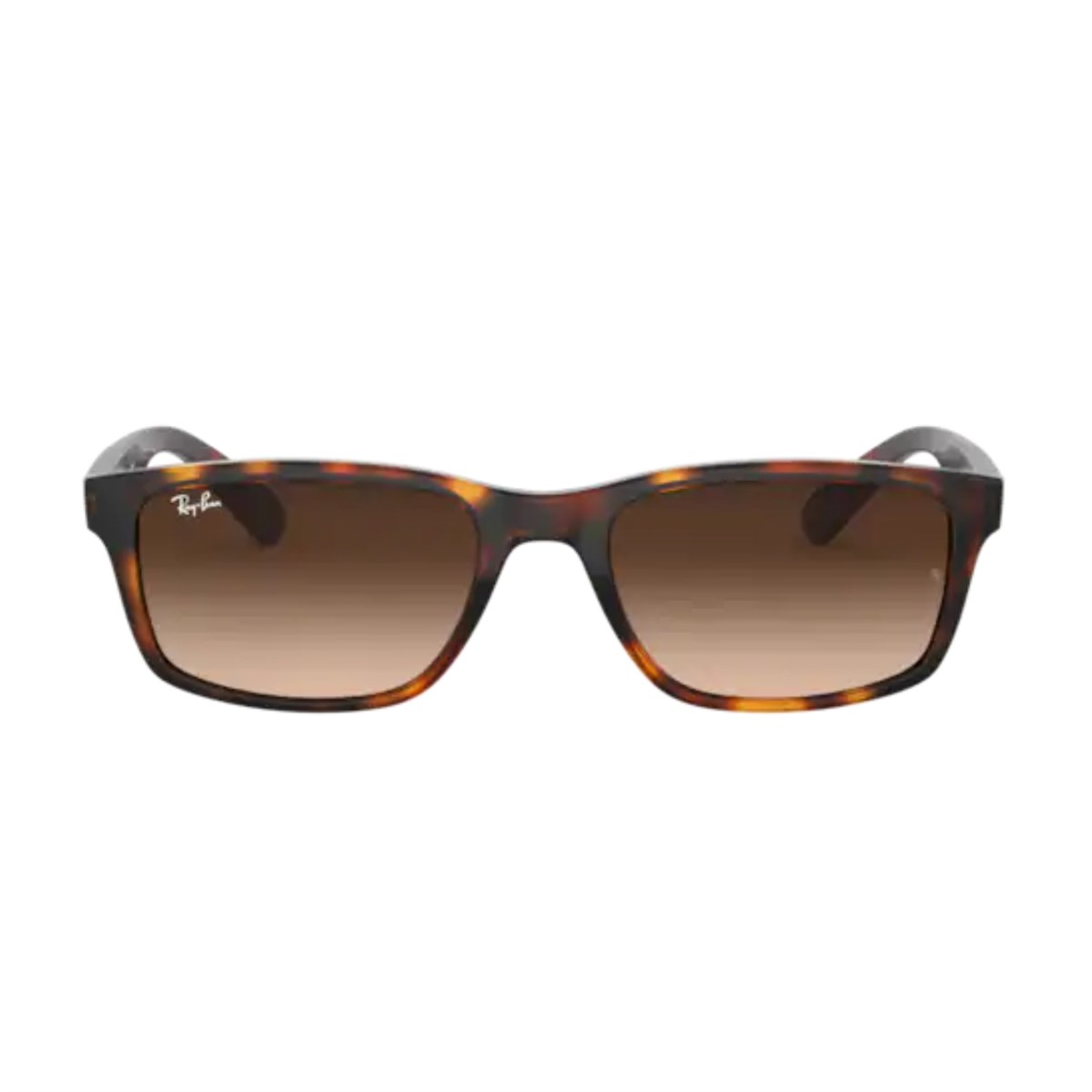 Ray-Ban 4234 58 620513 Güneş Gözlüğü