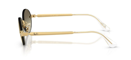 RAYBAN 3929 54 001/71 Güneş Gözlüğü