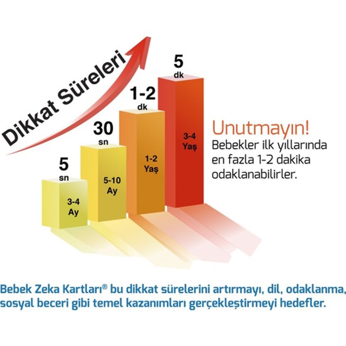 12 - 36 Ay Zeka Kartları