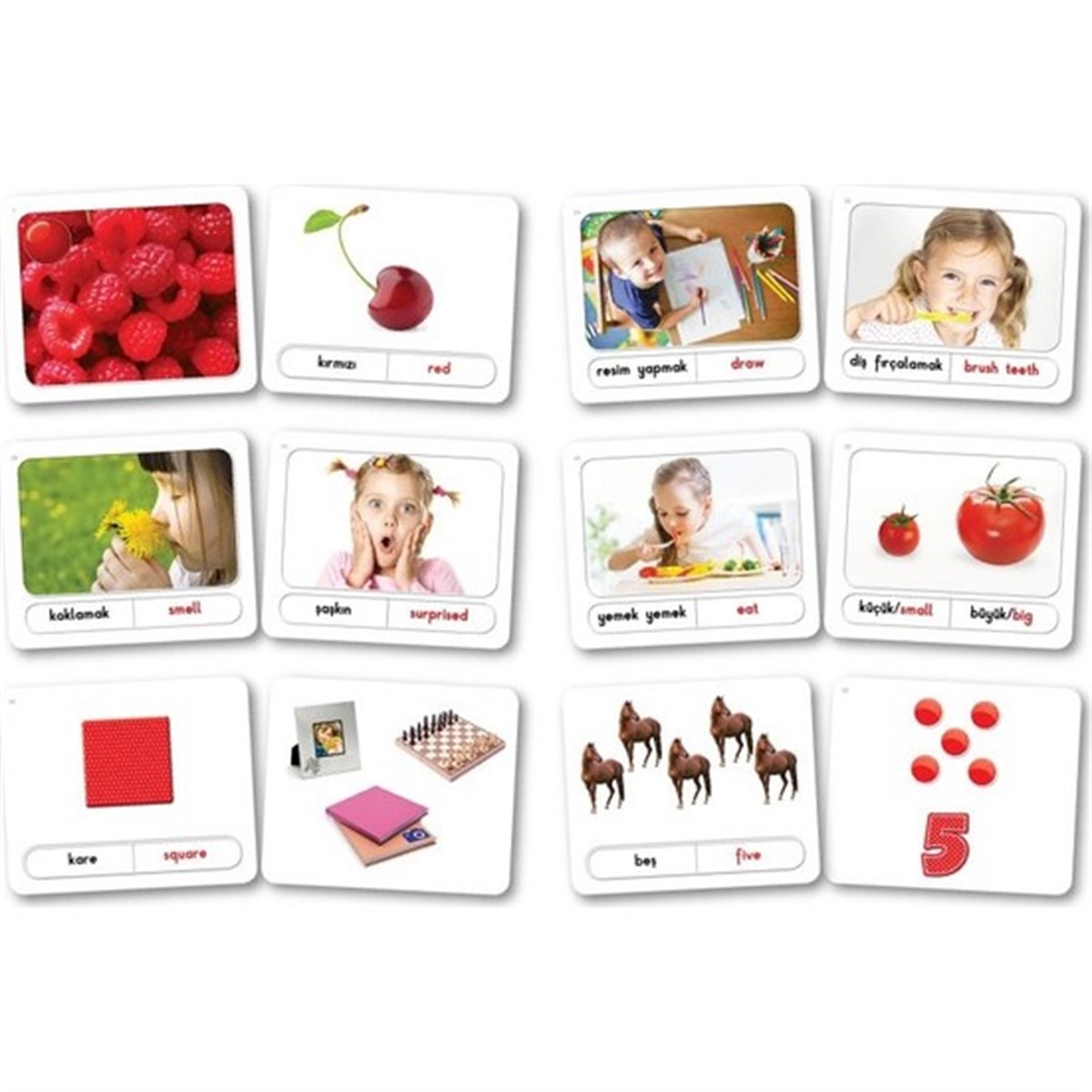 16 - 48 Ay Zeka Kartları