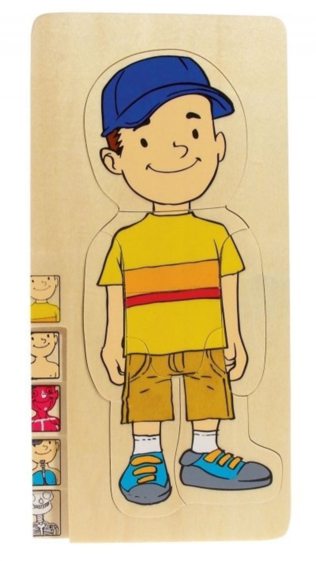 Erkek Vücudumuz Puzzle