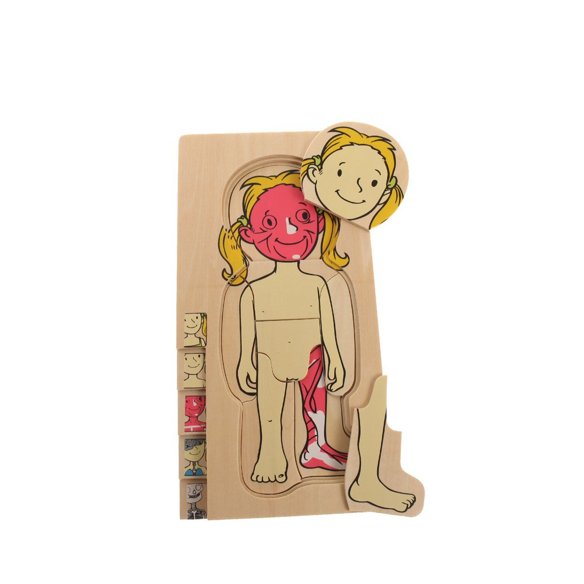 Kız Vücudumuz Puzzle