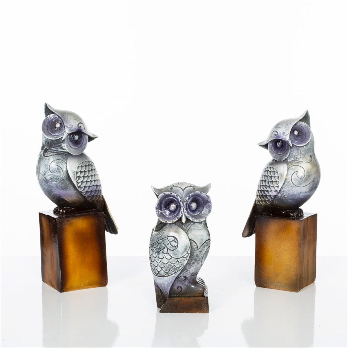 3'lü Gri Baykuş Aile