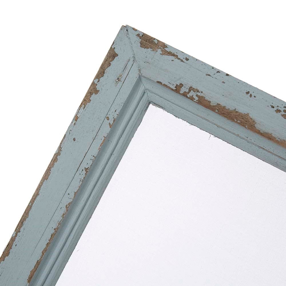 Mavi Papağan Seffaf Dekoratif Tablo