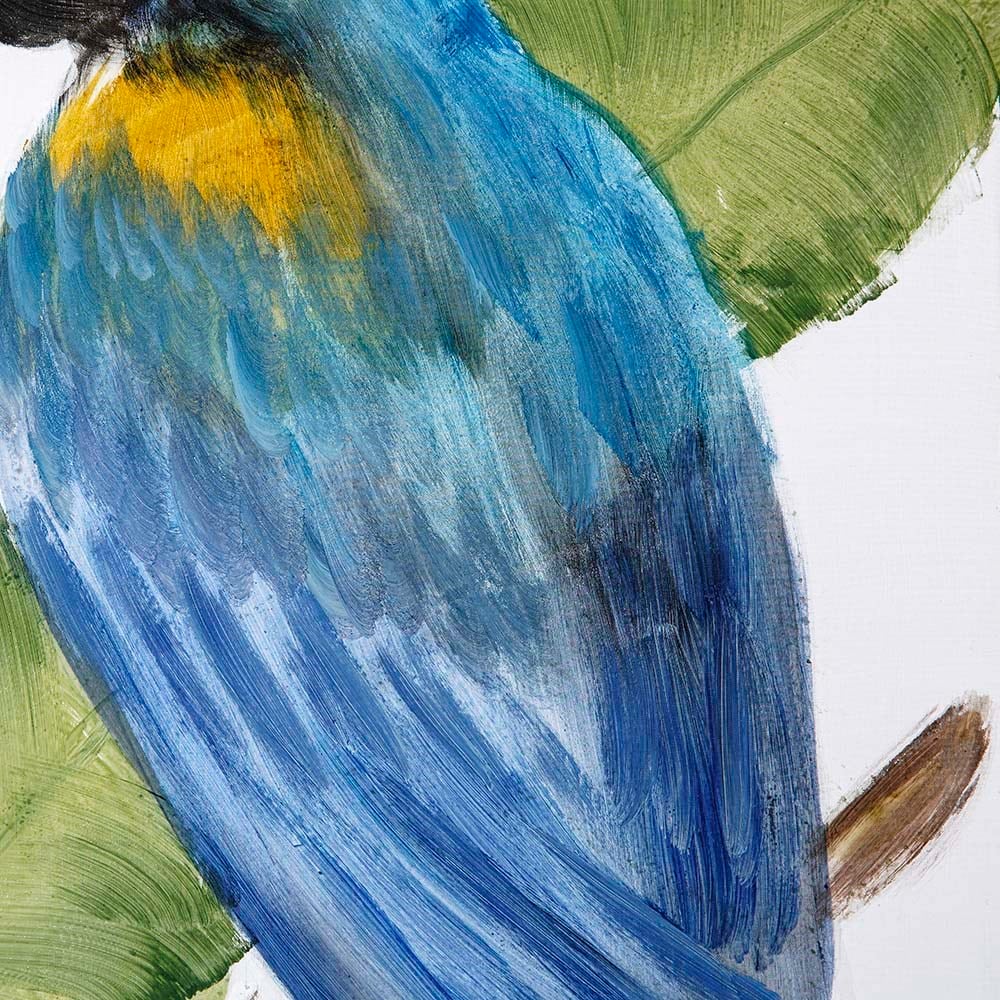 Mavi Papağan Seffaf Dekoratif Tablo