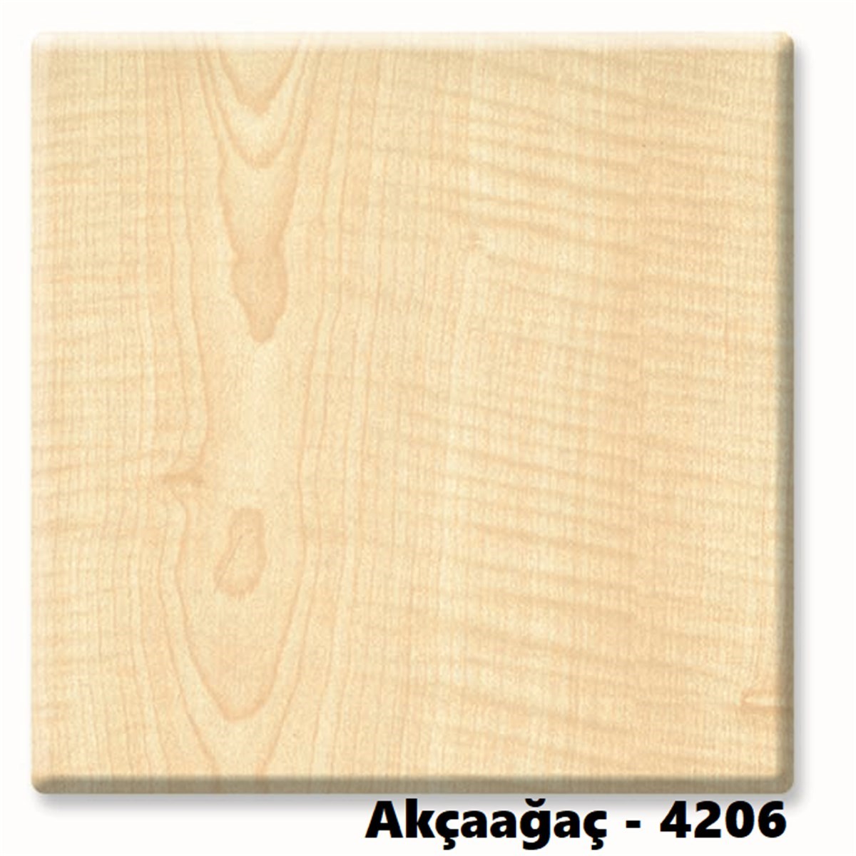 Werzalit Katlanır Cafe Masası 70x70