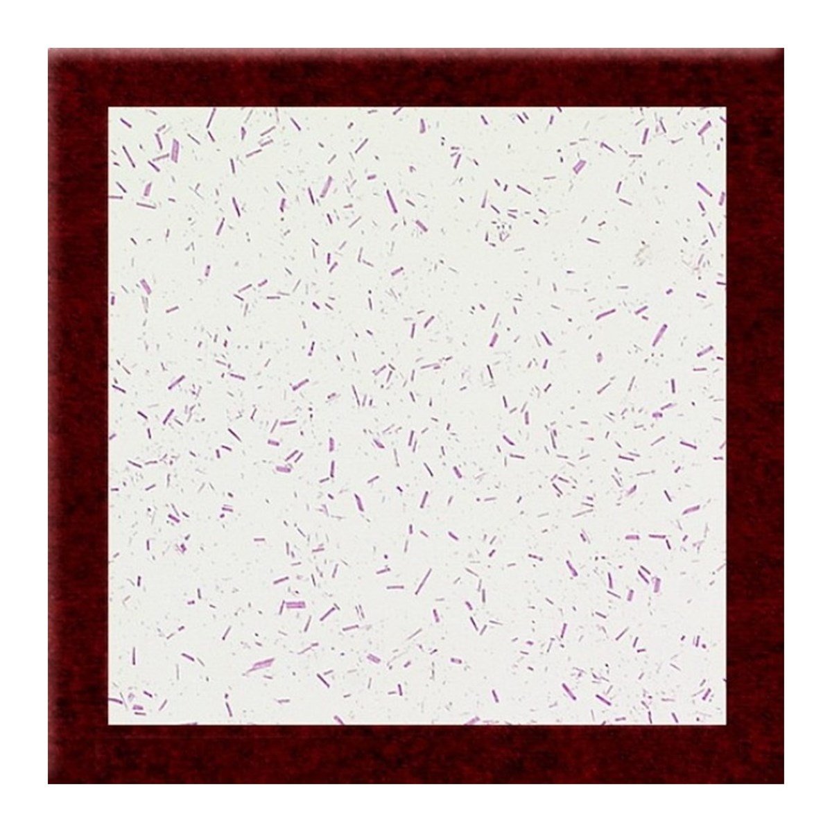 Werzalit Katlanır Masa 60X60 