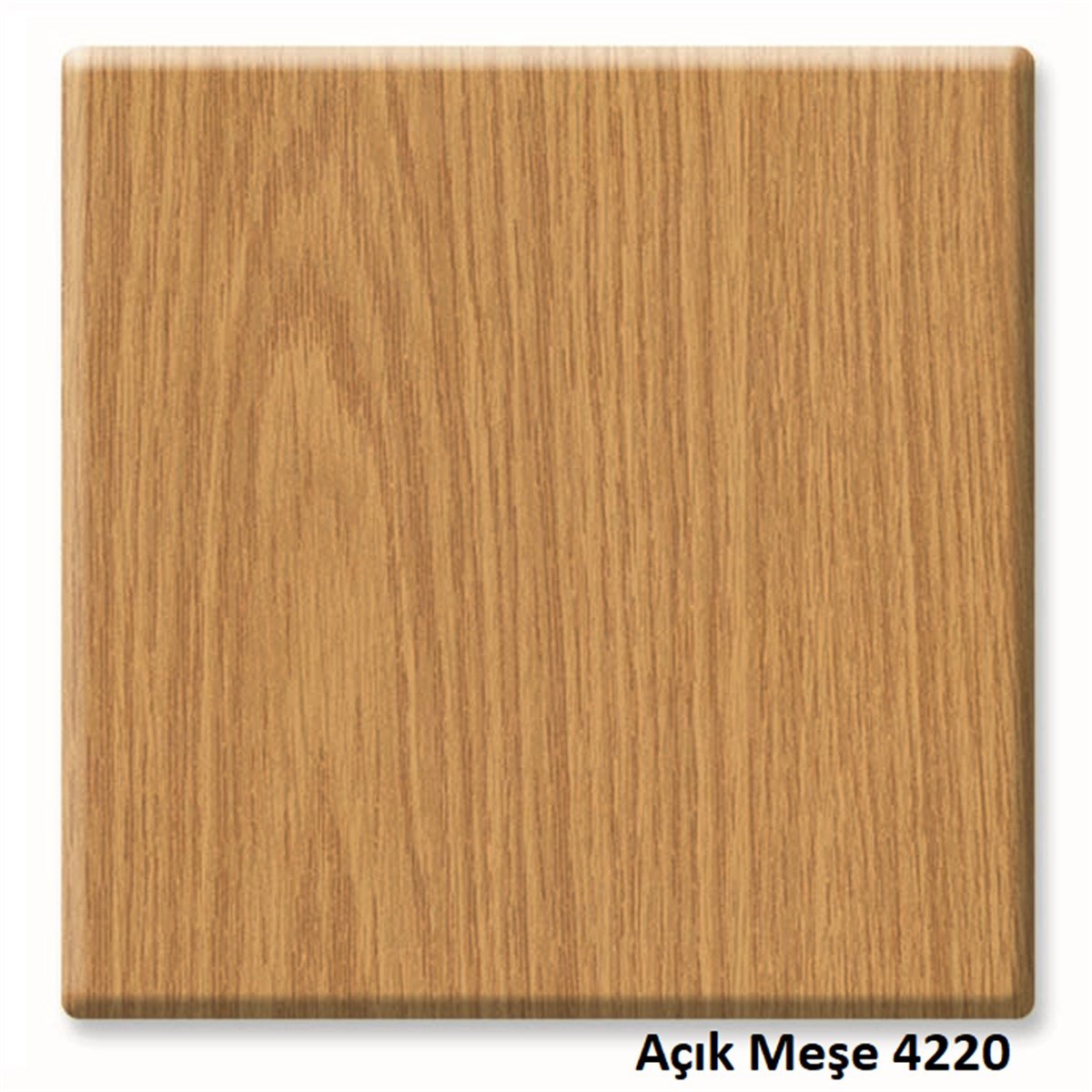 Werzalit Katlanır Masa 80X80 