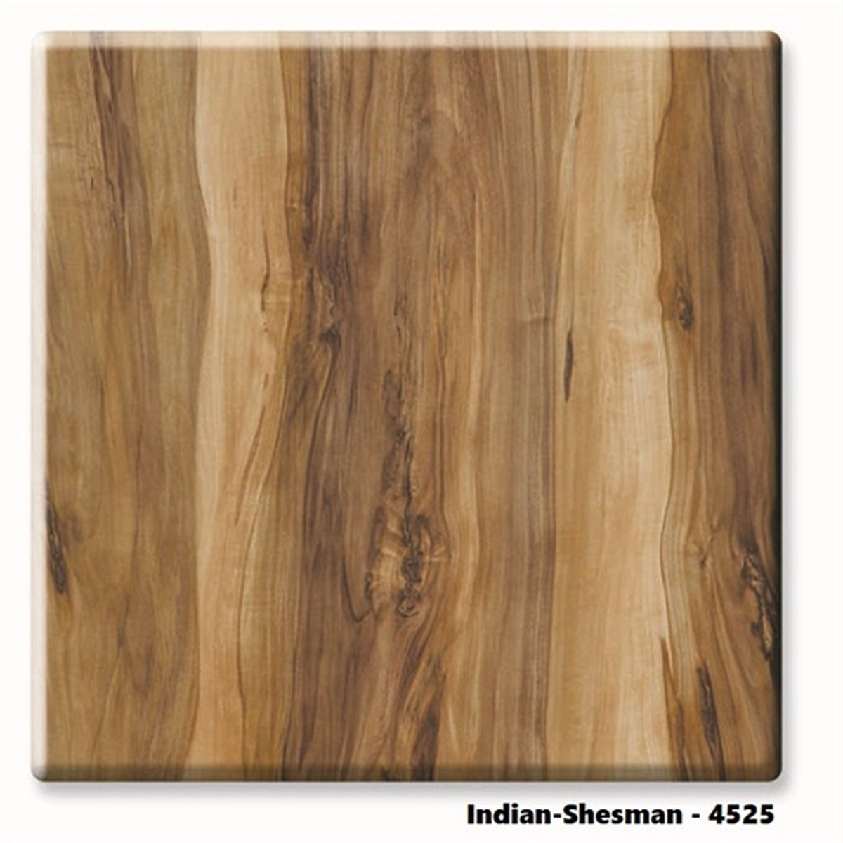 Werzalit Katlanır Sandalye