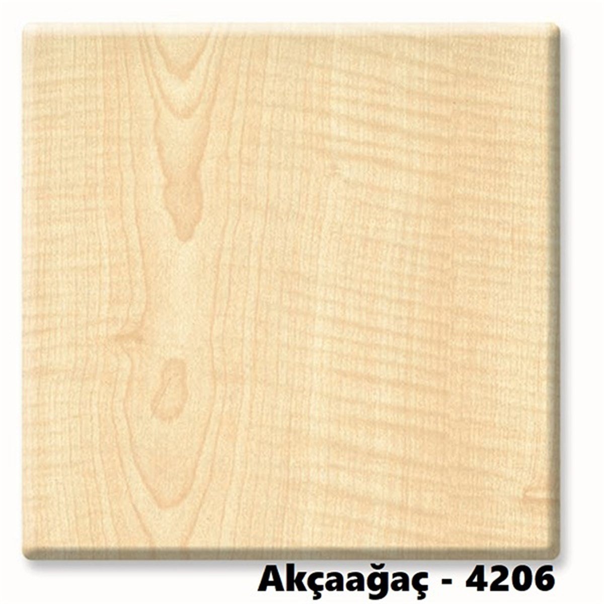 Werzalit Katlanır Sandalye