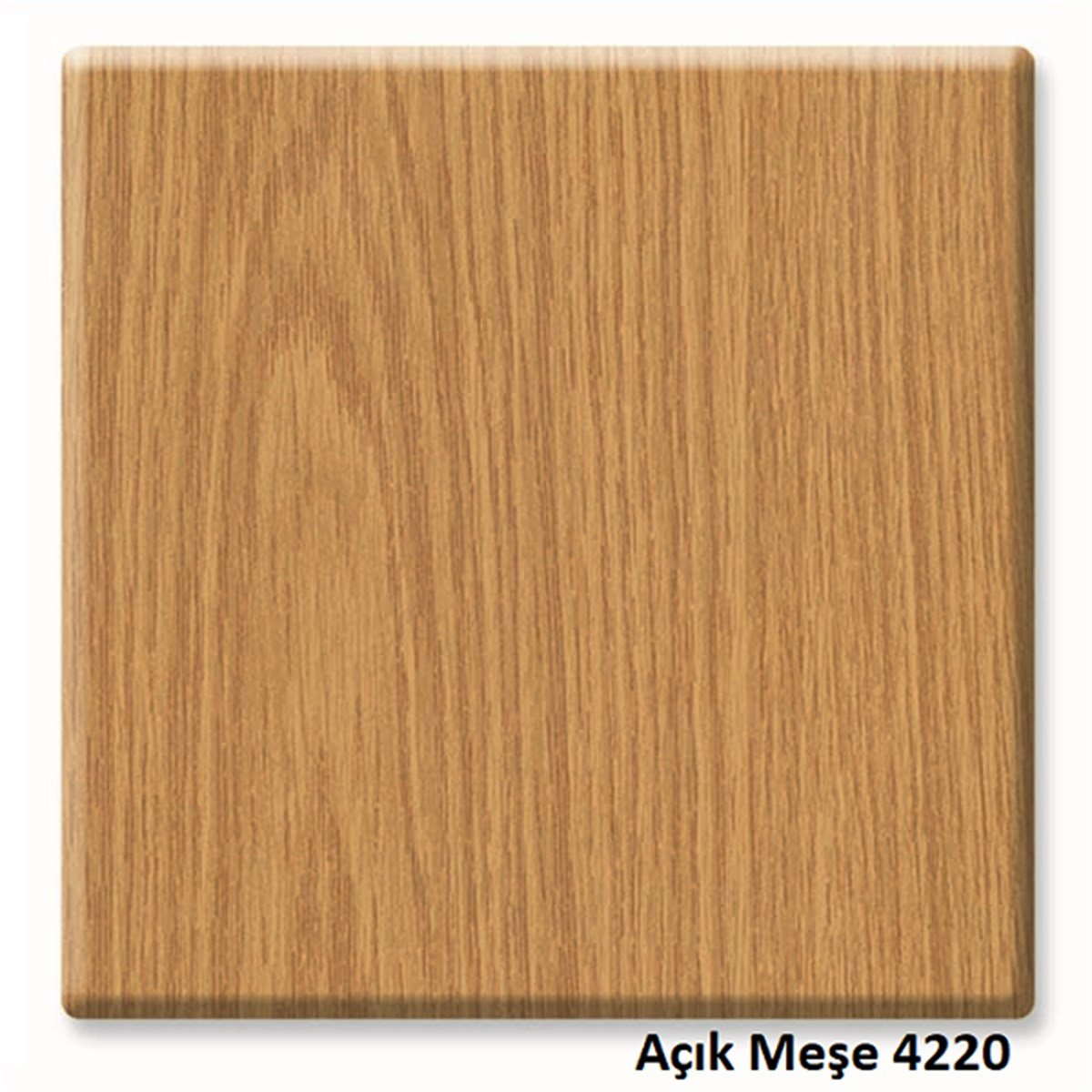 Werzalit Katlanır Sandalye