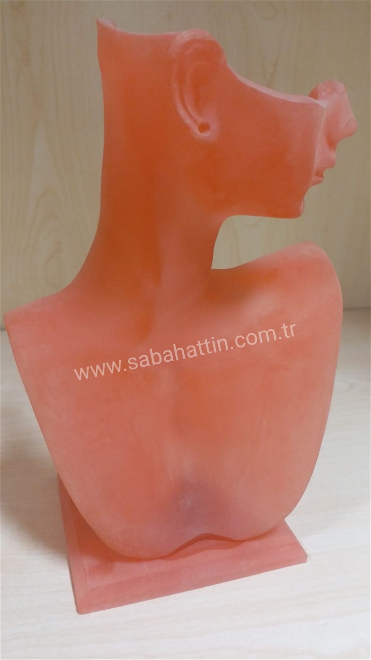 ACRYLIC KOLYELİK , ACRYLIC JEWELRY NECLACE DISPLAY