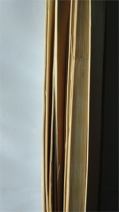 BAMBU ÇITA En 10 mm KALINLIK 1,50 mm BOY 150 CM ( 15 ADET )