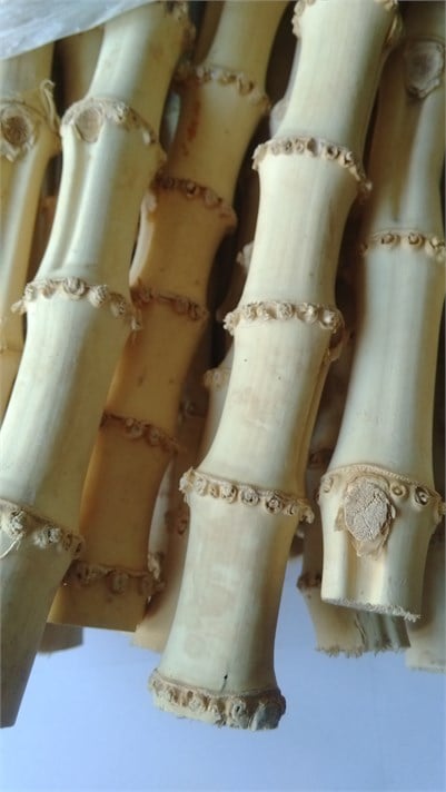 BAMBU KÖK ÇUBUK 18/22 Mm - 30 Cm