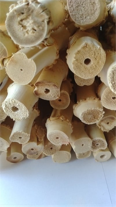 BAMBU KÖK ÇUBUK  10/15 mm - 30 cm