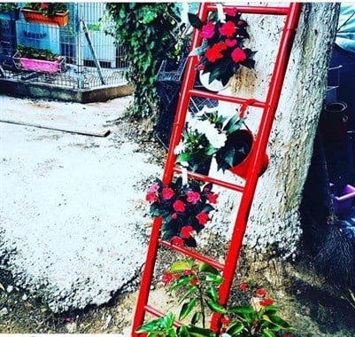 BAMBU MERDİVEN 37*150 CM BEYAZ KÜÇÜK BOY