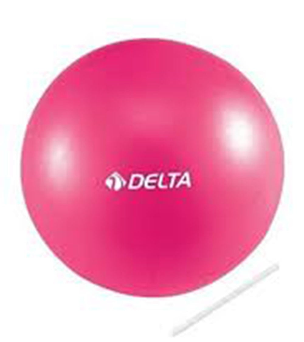 Delta 25-PMB225 Pilates Topu 25 cm / Pembe