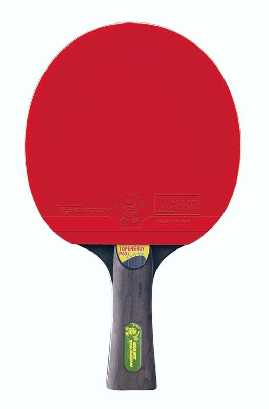 Giant Dragon P40+ Masa Tenisi Raketi ITTF Onaylı