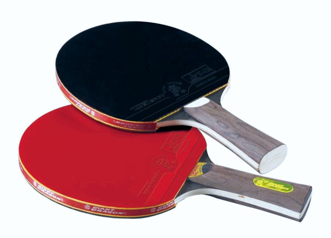 Giant Dragon P40+ Masa Tenisi Raketi ITTF Onaylı