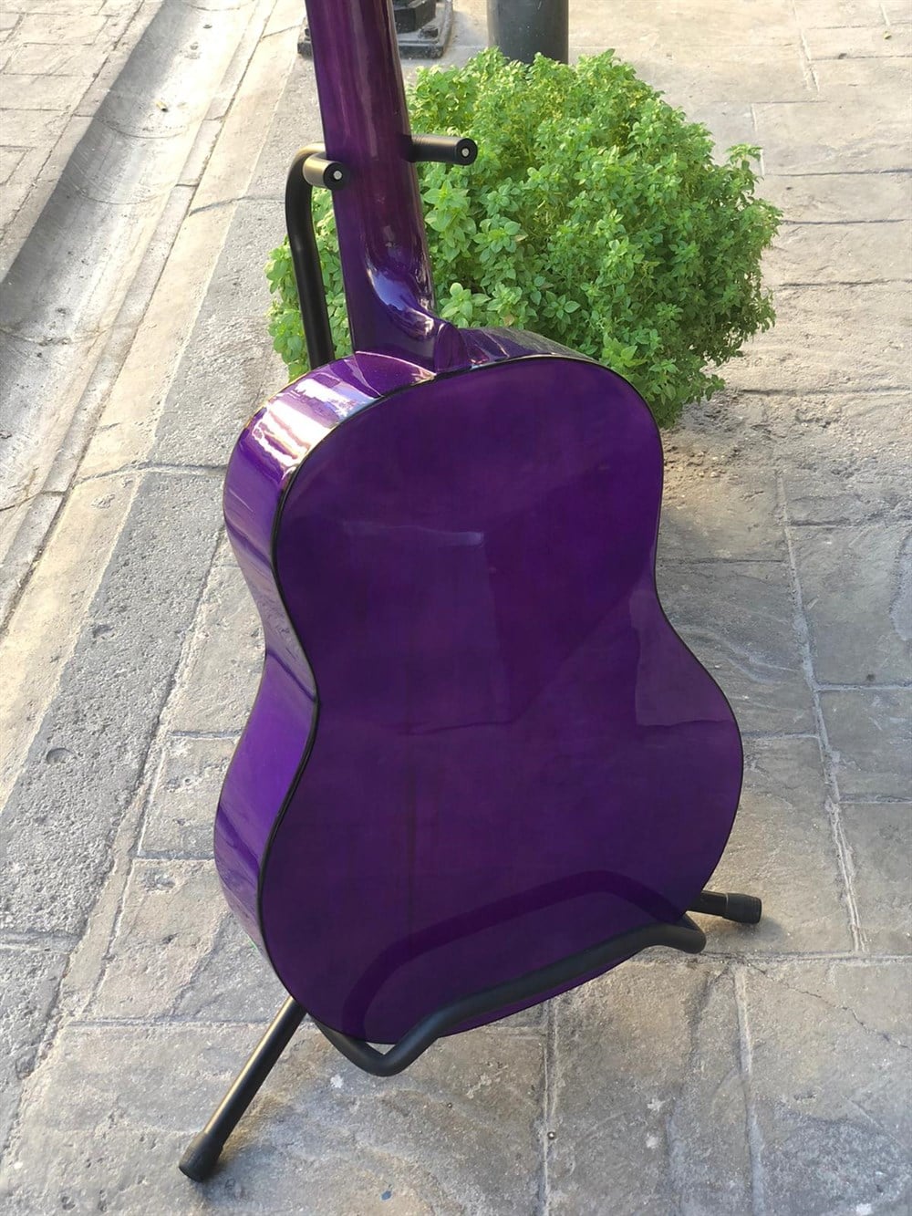 Campbell Klasik Gitar MOR ( KILIF + PENA HEDİYELİ )