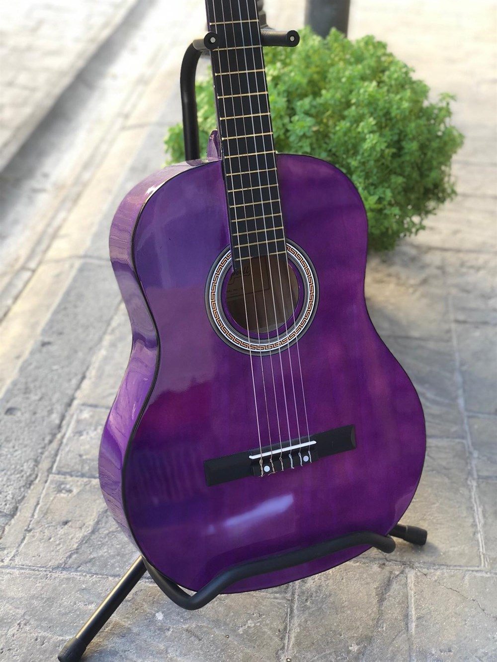 Campbell Klasik Gitar MOR ( KILIF + PENA HEDİYELİ )