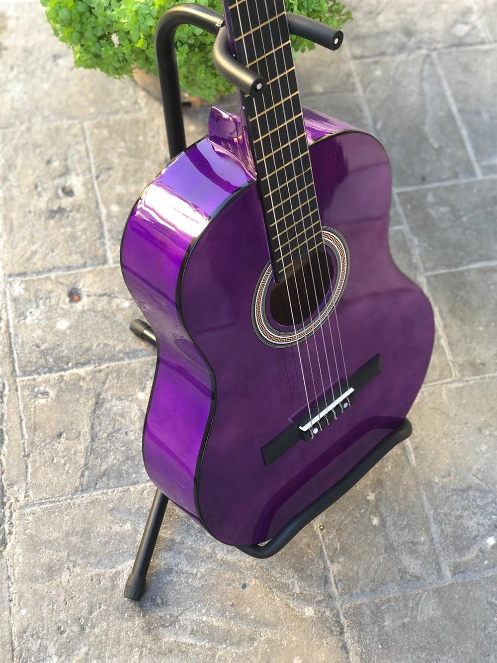 Campbell Klasik Gitar MOR ( KILIF + PENA HEDİYELİ )