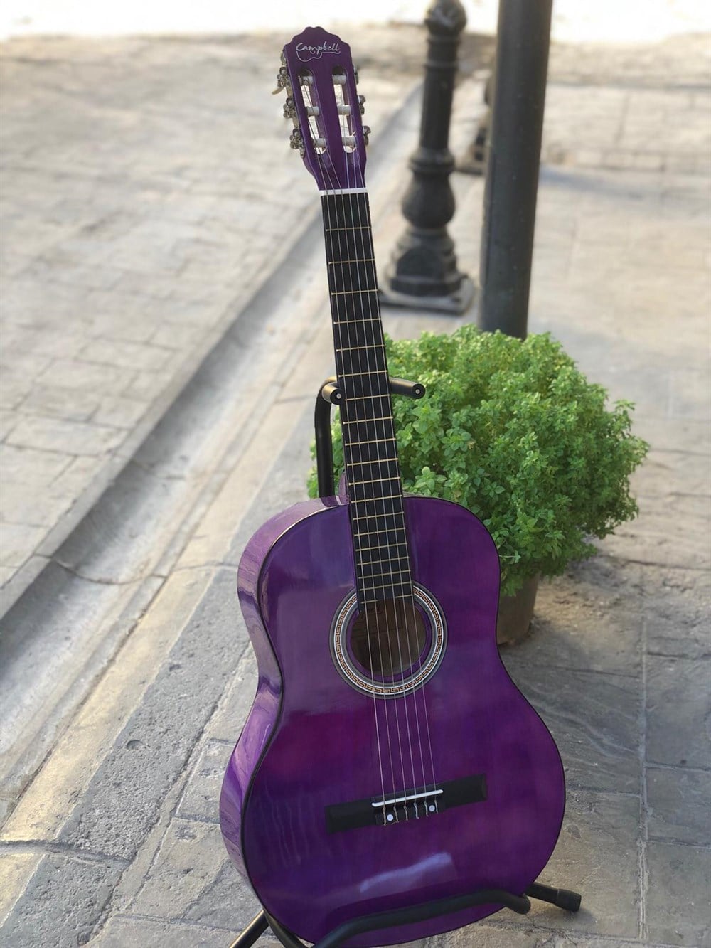 Campbell Klasik Gitar MOR ( KILIF + PENA HEDİYELİ )