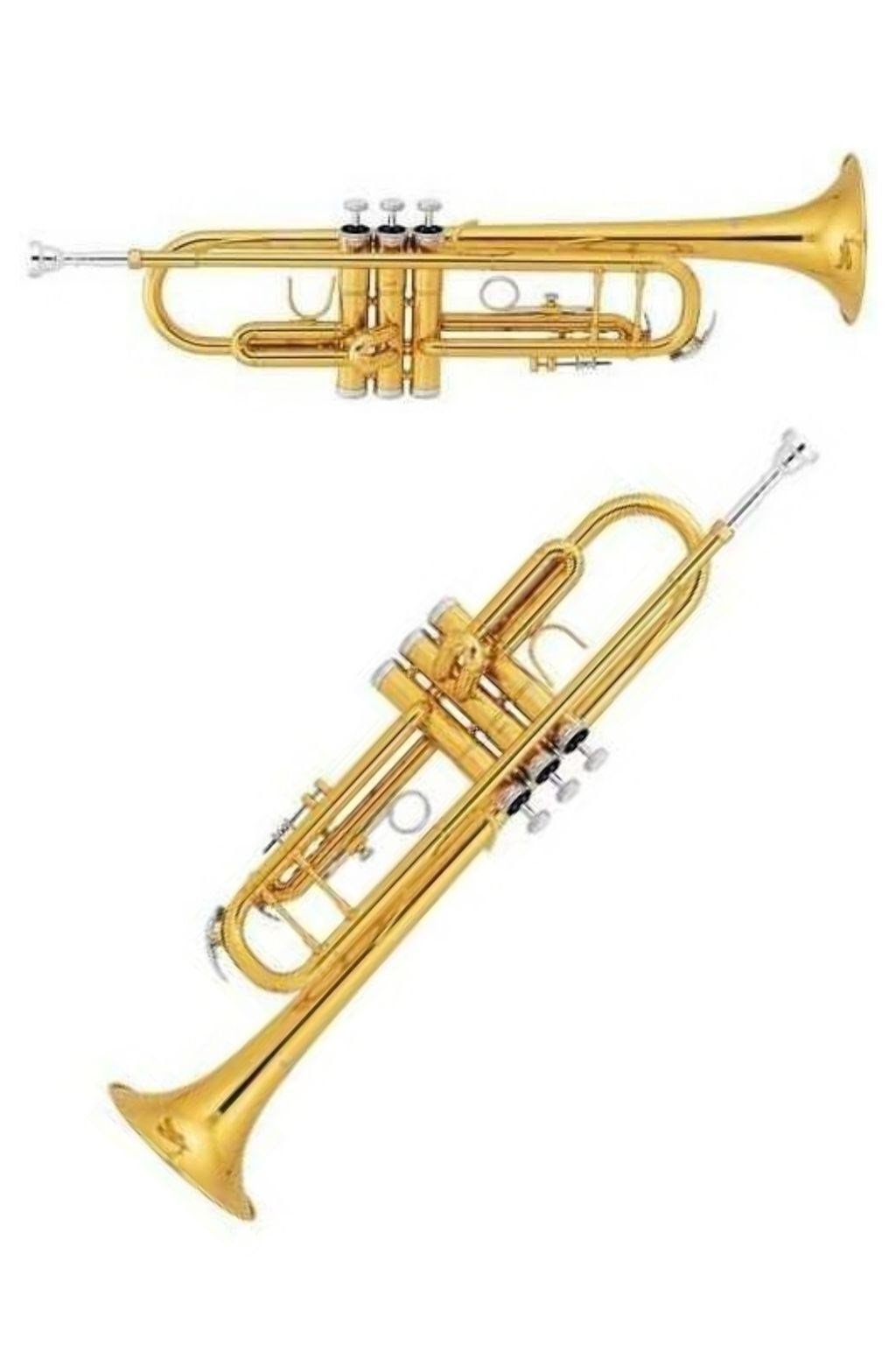 Jinbao JBTR400L Si Bemol (Bb) Trompet Taşıma Çantalı