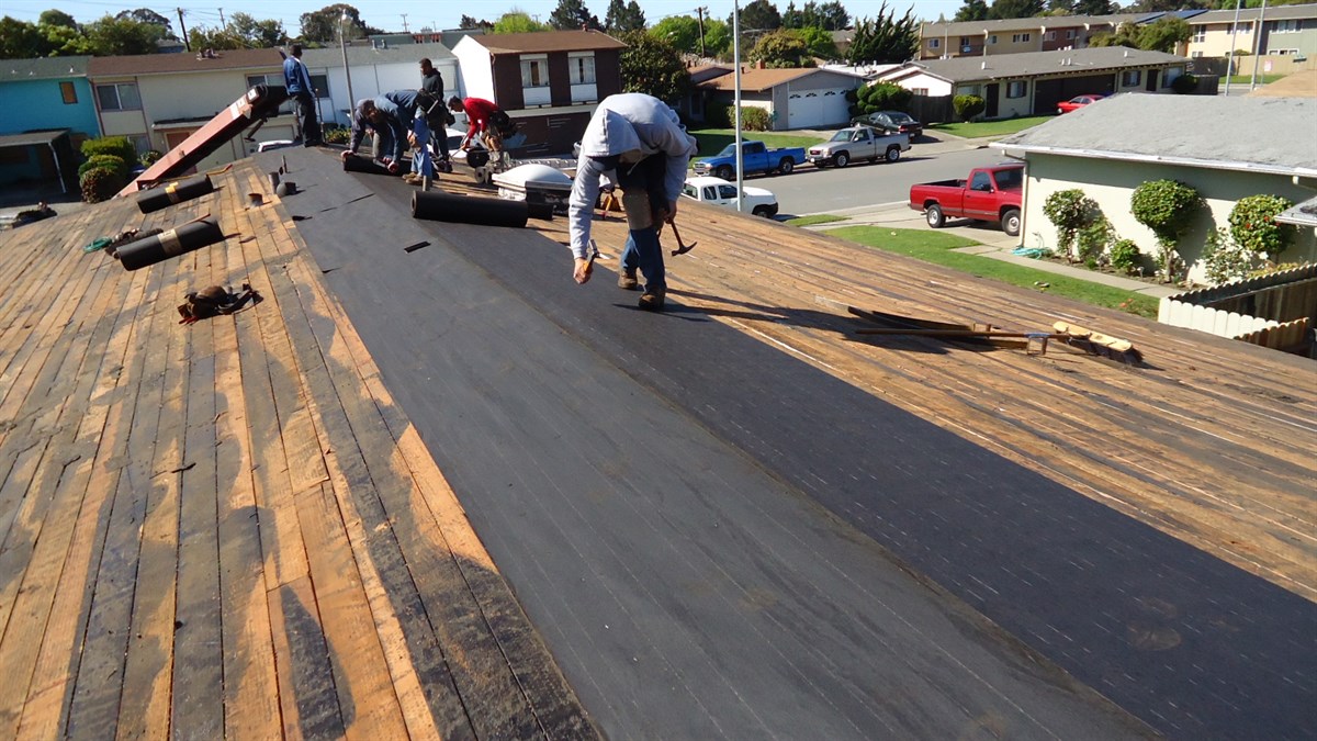 Ruberoit 10 Metre