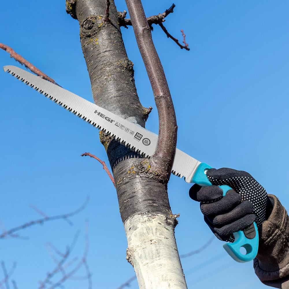 HEGI DAL BUDAMA TESTERESİ