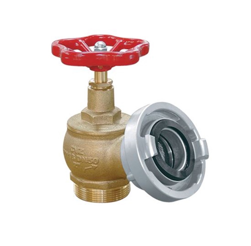 YANGIN VANASI HORTUM REKORLU