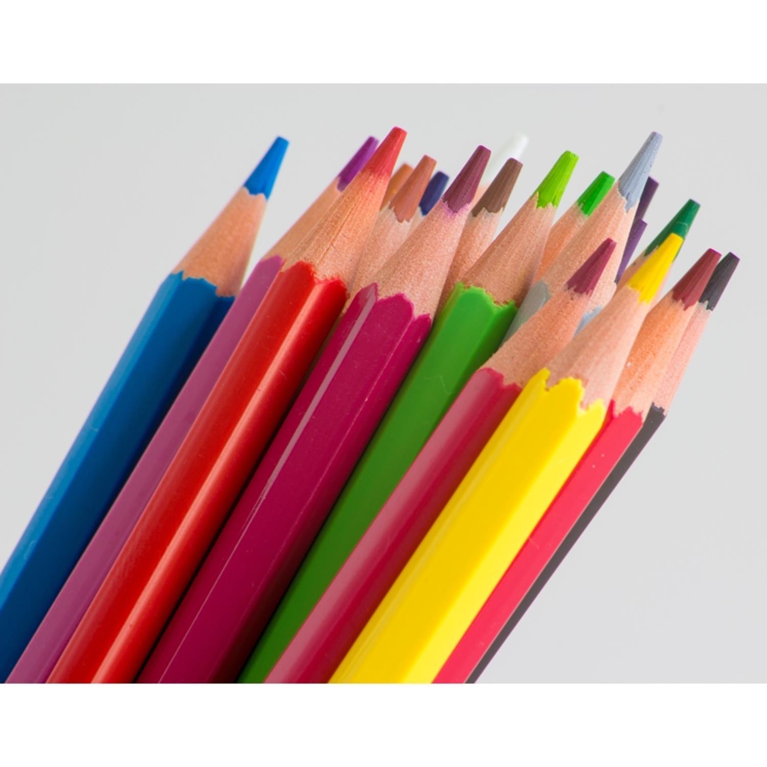 AlpinoAlpino Uzun Kuru Boya 12 Renk AL-10654