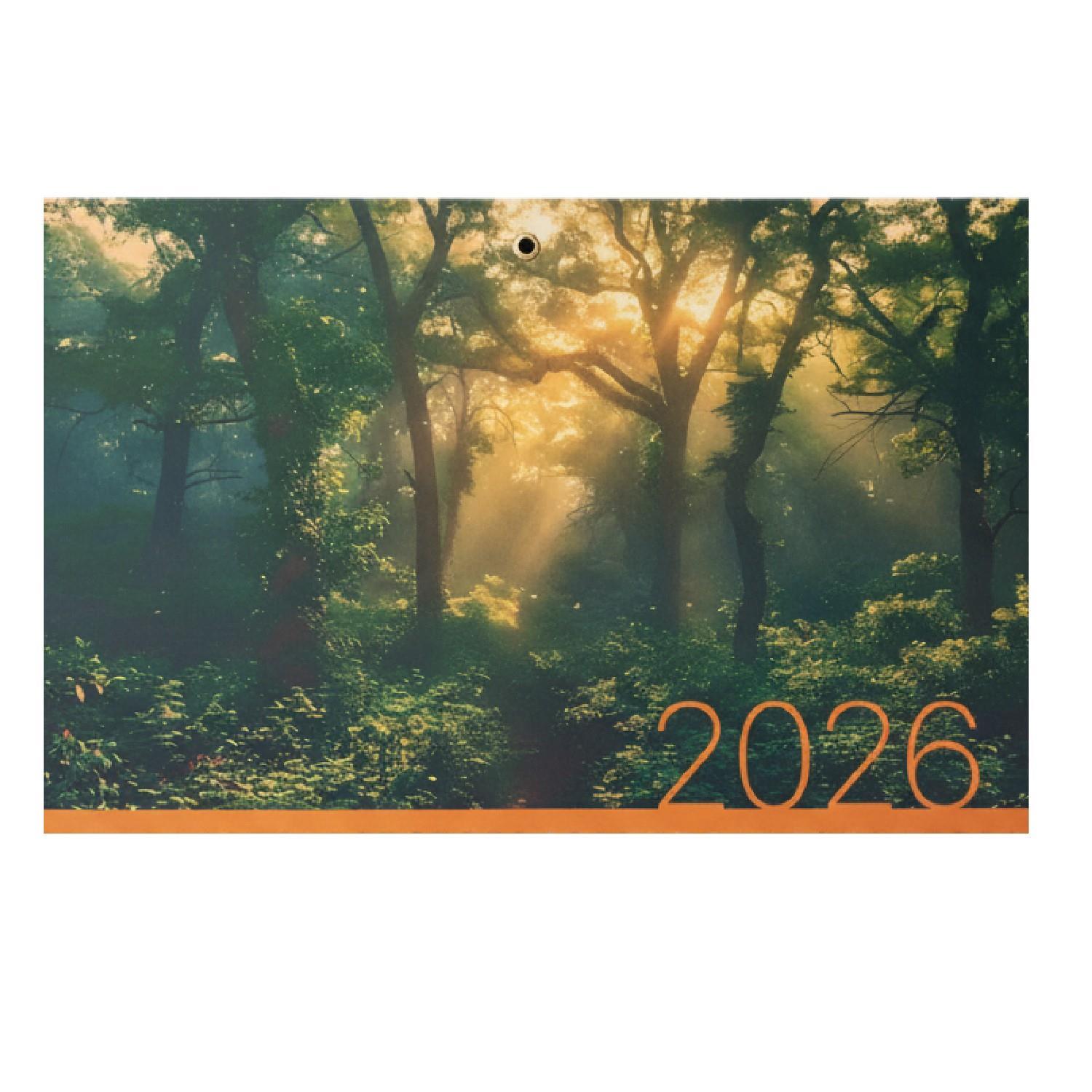GıptaGıpta 2026 Bristol Gemici Takvimi 33x78 36 Sayfa 805-BRS 