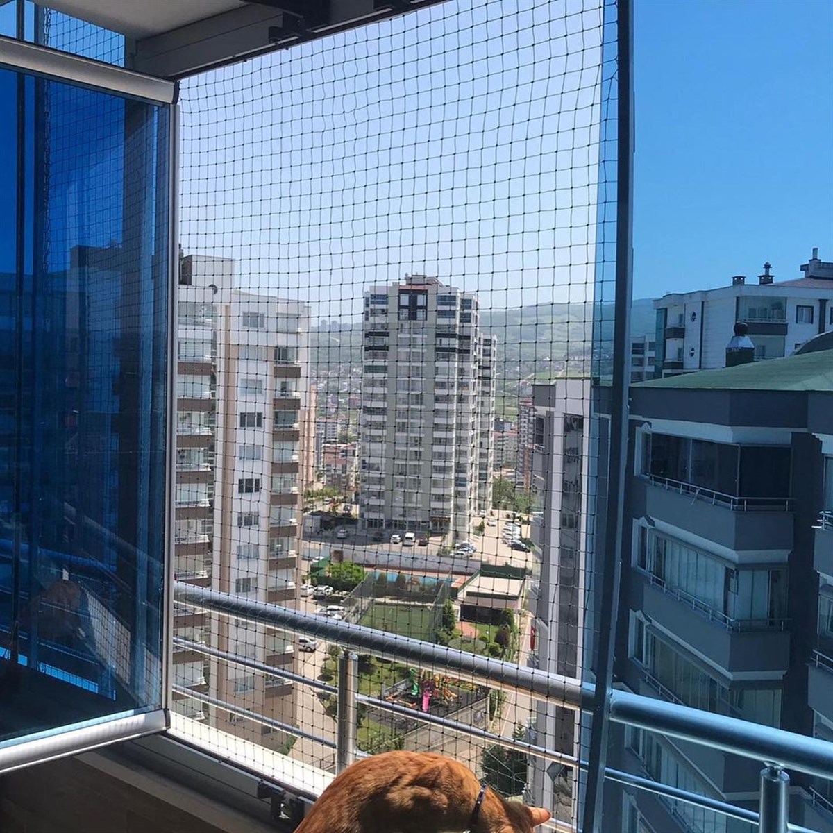 Winblock Pets Balkonlar için Kedi Güvenli Ağı 150cm x 200cm