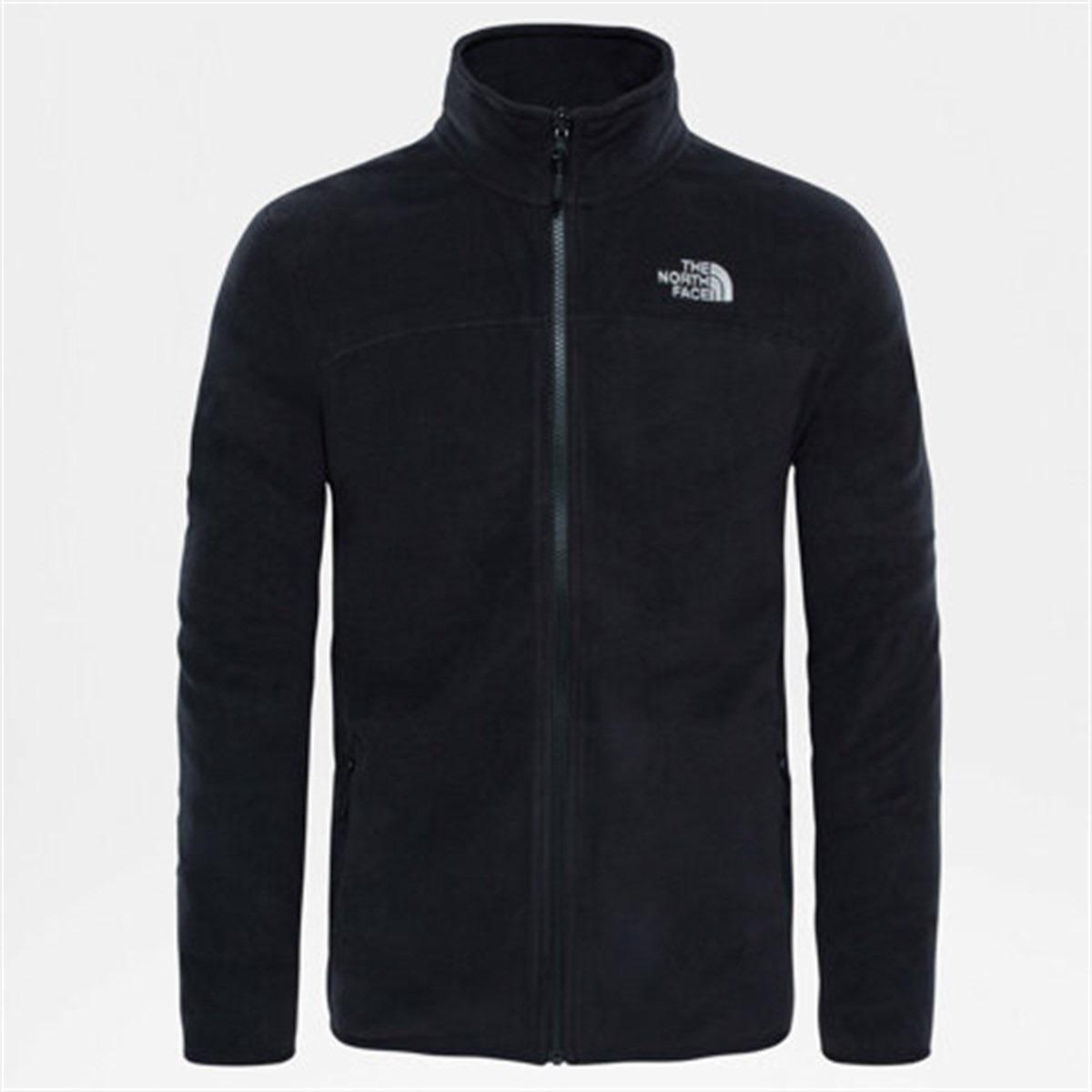 NF0A2UAQJK31Tnf M 100 Glacıer Full  Zıp Erkek Jacket