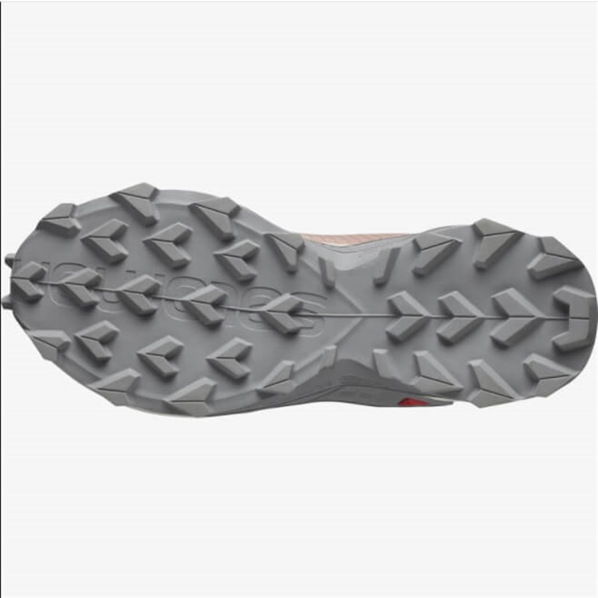 L41294000Salomon Alphacross Blast W Kadın Ayakkabı L41294000