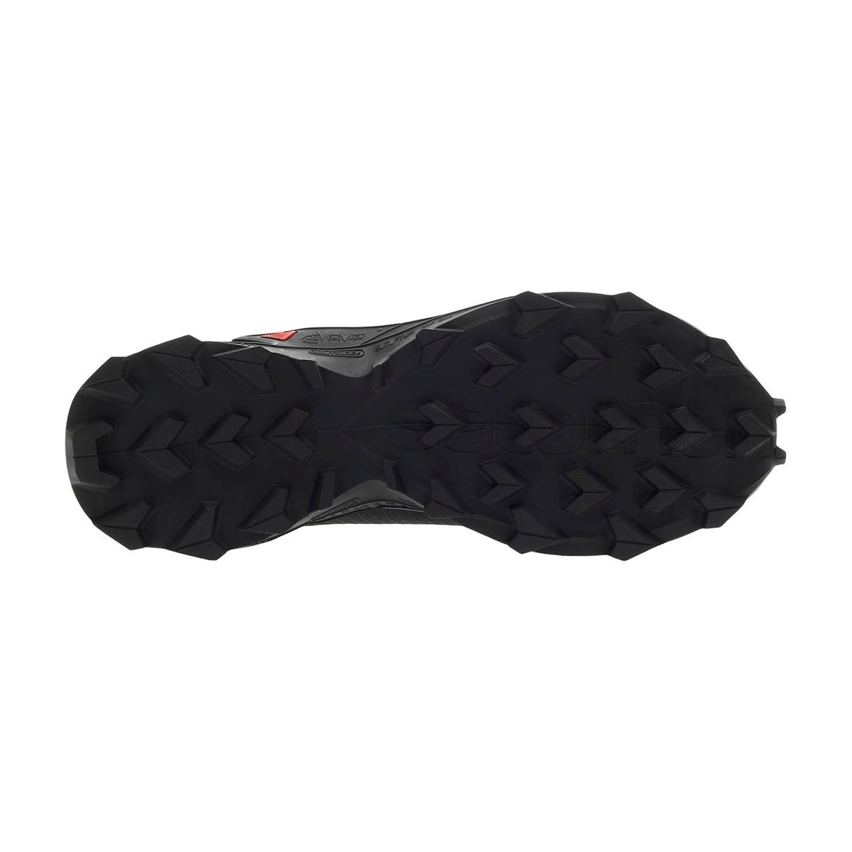 L41106300Salomon Alphacross Blast Gtx Erkek Ayakkabı L41106300