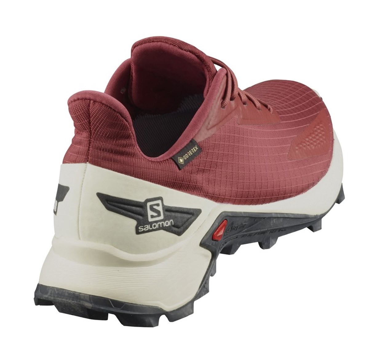 L41106500Salomon Alphacross Blast Gtx Erkek Ayakkabı L41106500