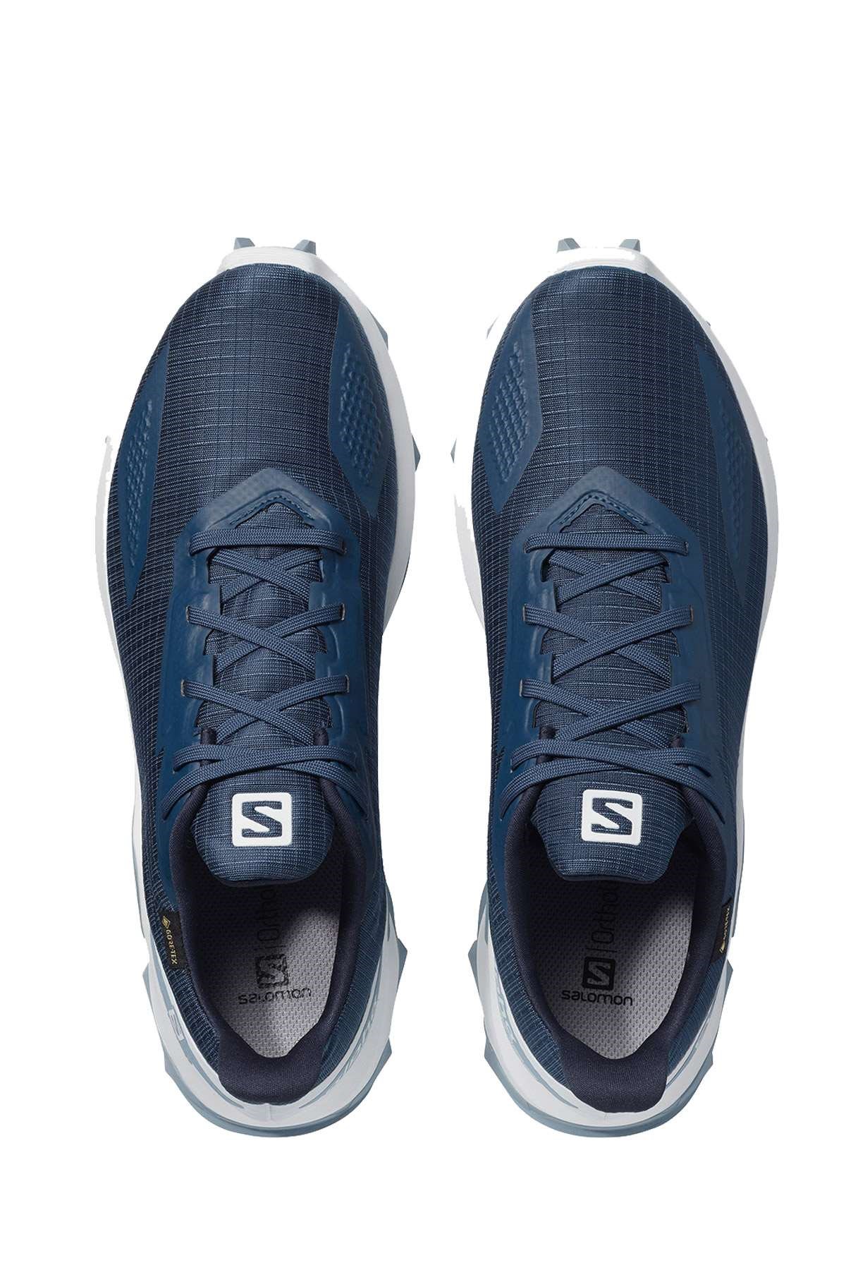L41106000Salomon Alphacross Blast Gtx Erkek Ayakkabı L41106000