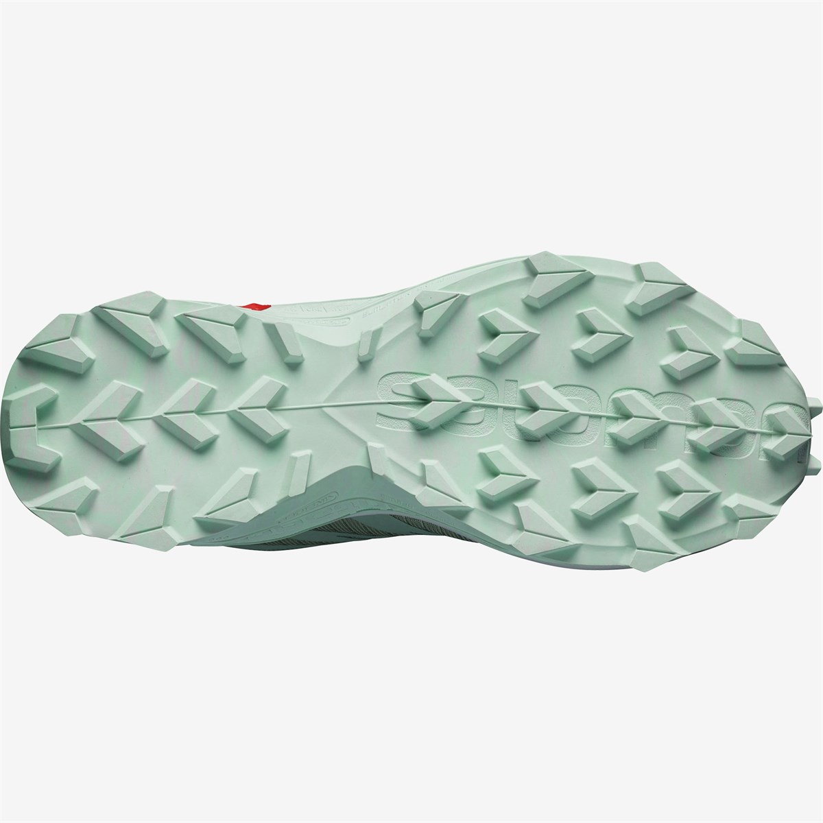 L41111200Salomon Supercross Blast Gtx Kadın Ayakkabı L41111200