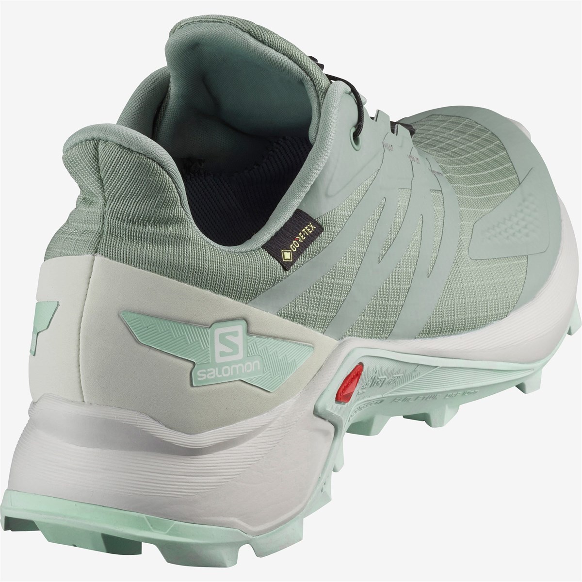 L41111200Salomon Supercross Blast Gtx Kadın Ayakkabı L41111200