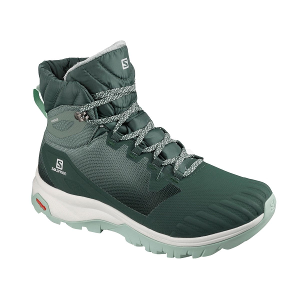 L41029200Salomon Vaya Blaze Ts Cswp Kadın Ayakkabı L41029200