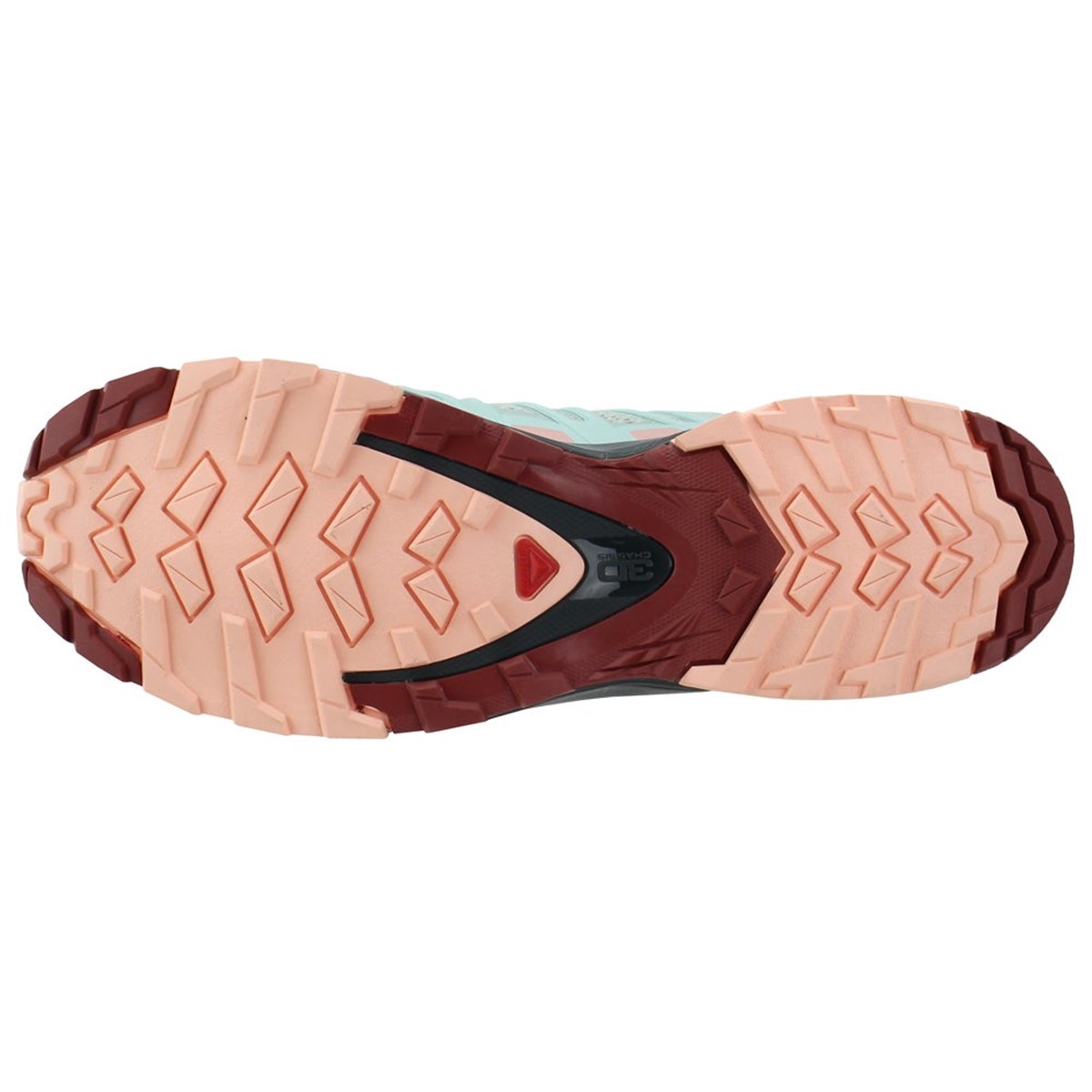 L41117900Salomon Xa Pro 3D V8 W Kadın Outdoor Ayakkabı L41117900
