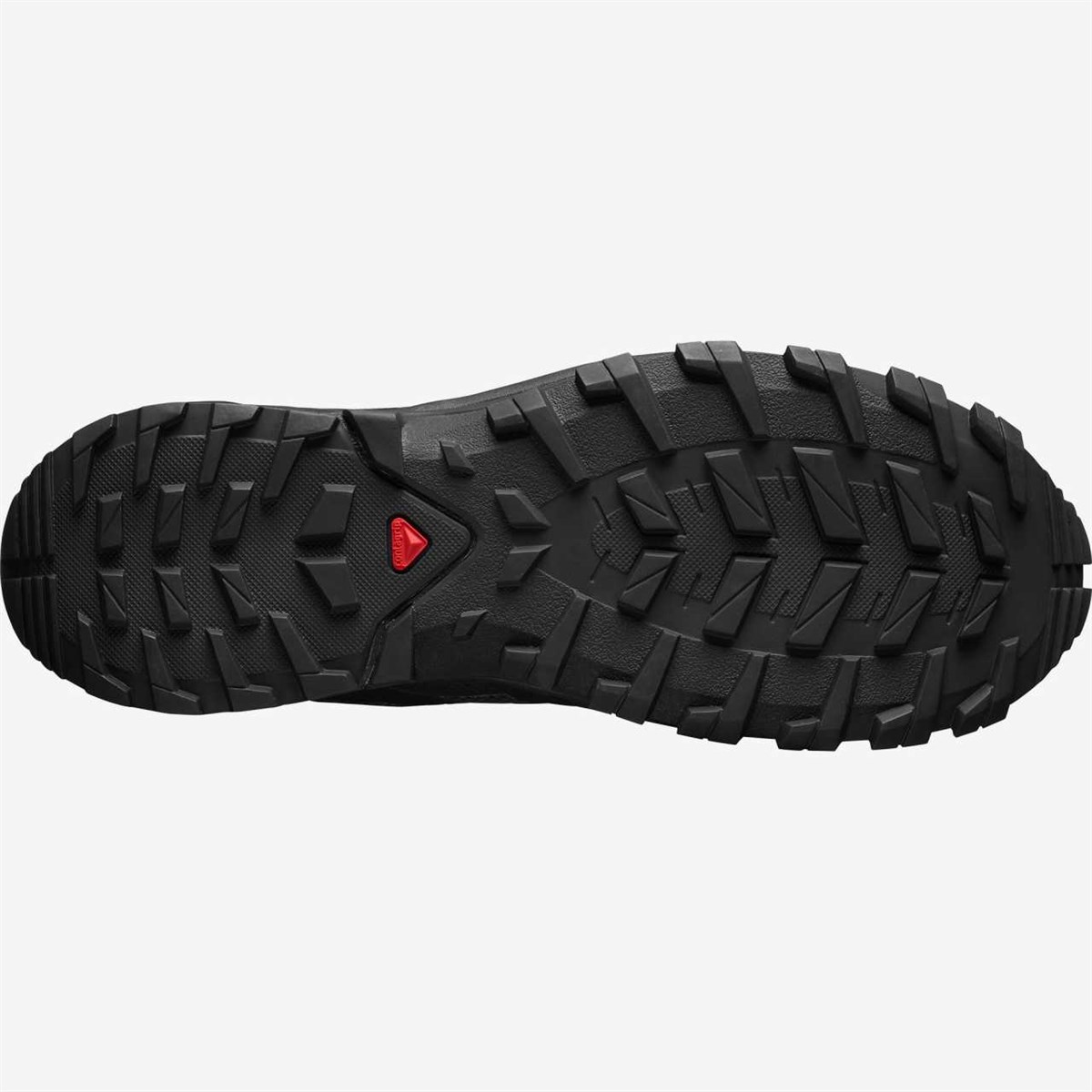 L41113300Salomon Xa Rogg Gtx Erkek Ayakkabı L41113300