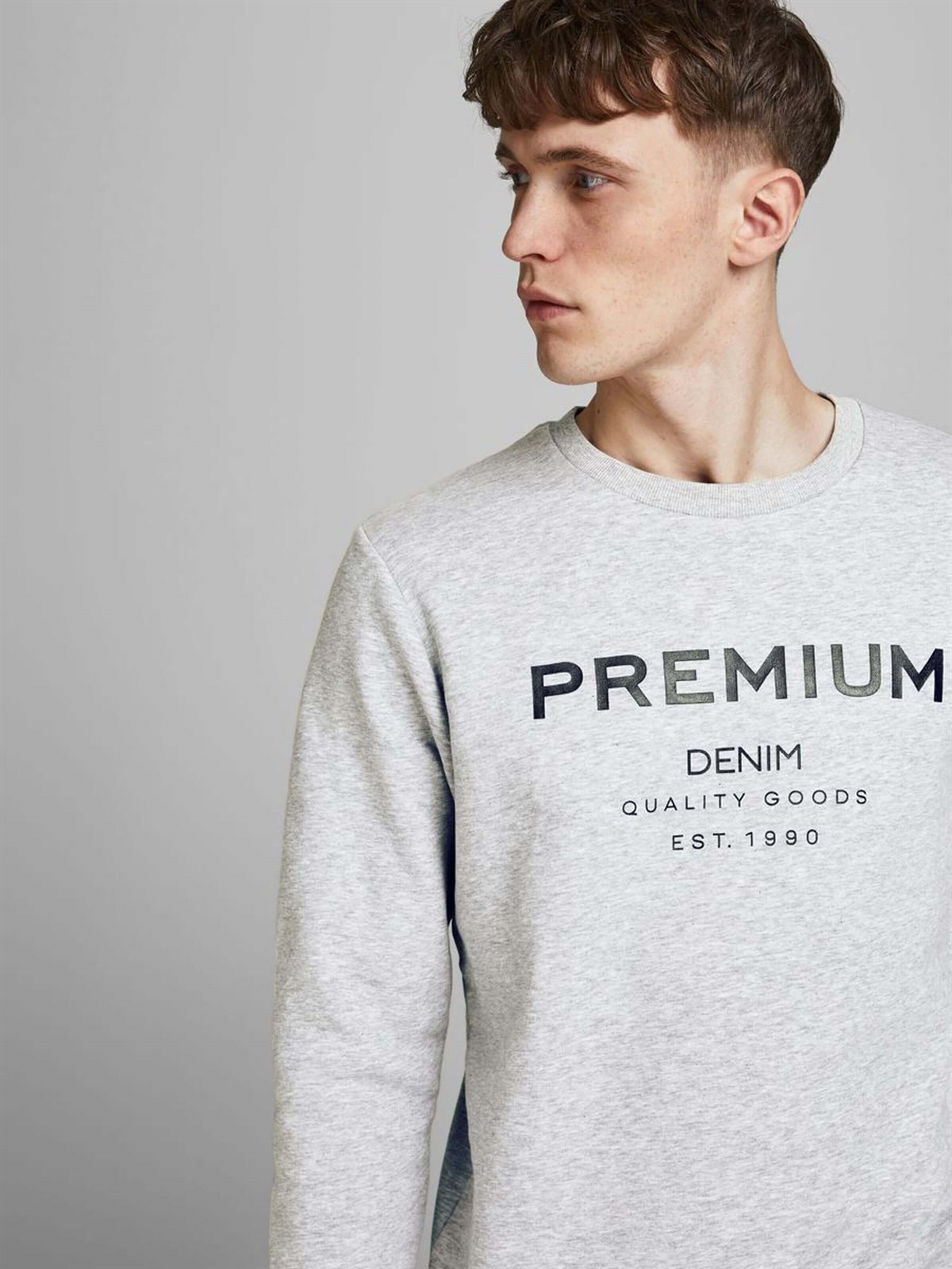 12175205Jack&Jones Jjtonal Logo Sweat Crew Neck-12175205