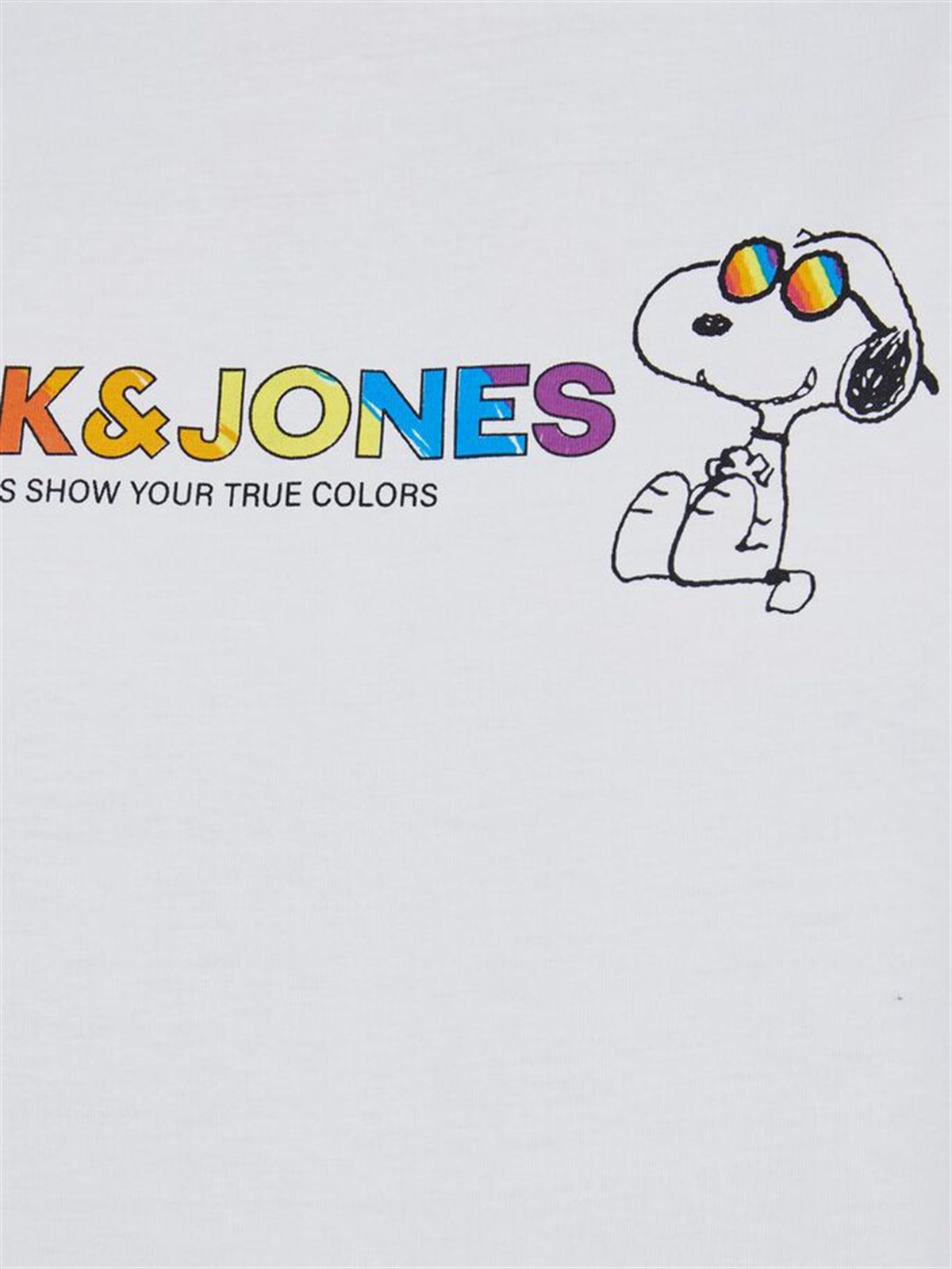 12174182Jack&Jones Jorpeanuts Pride SS Crew Neck Erkek Tişört - 12174191