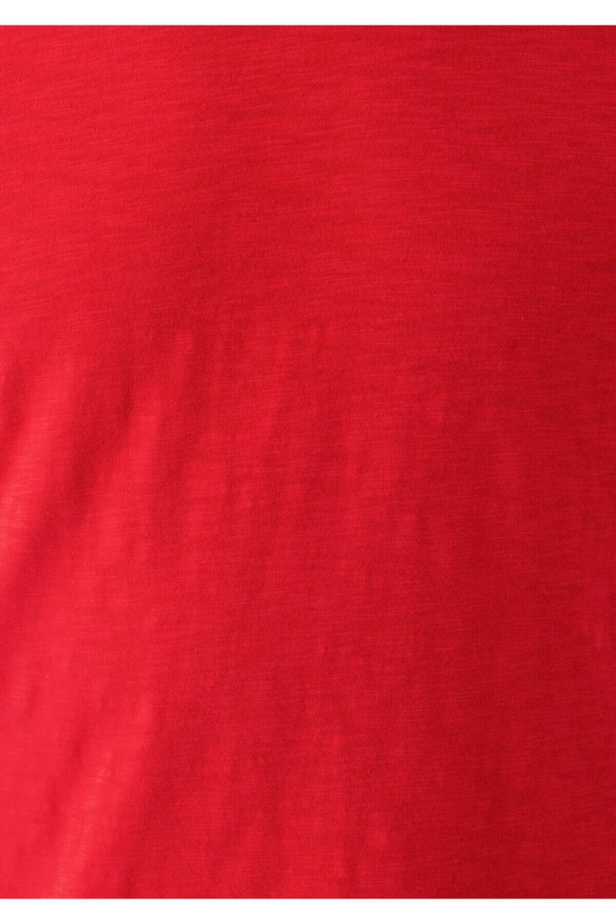 064681-30648Mavi  Kırmızı Erkek T-Shirt