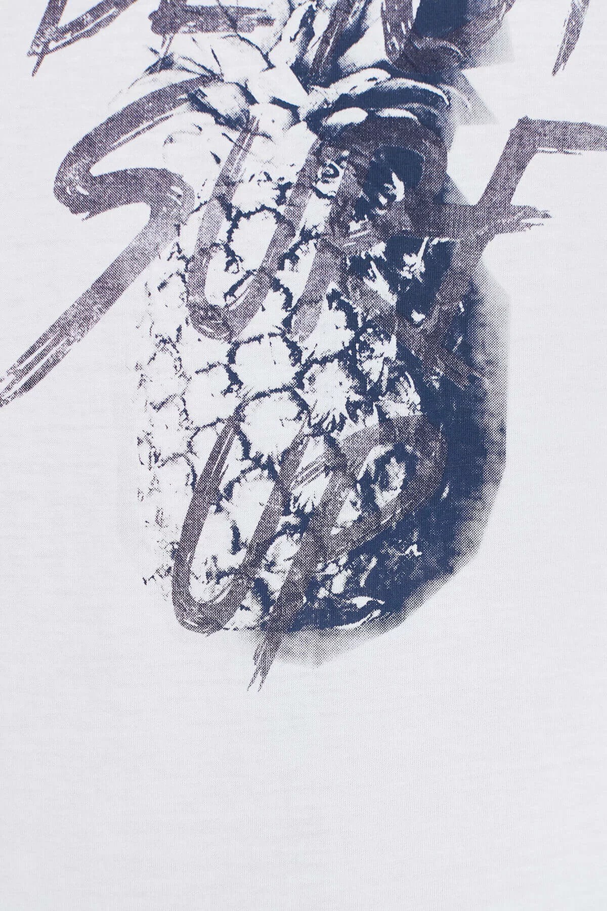 064778-620MAVİ ANANAS BASKILI TİŞÖRT beyaz